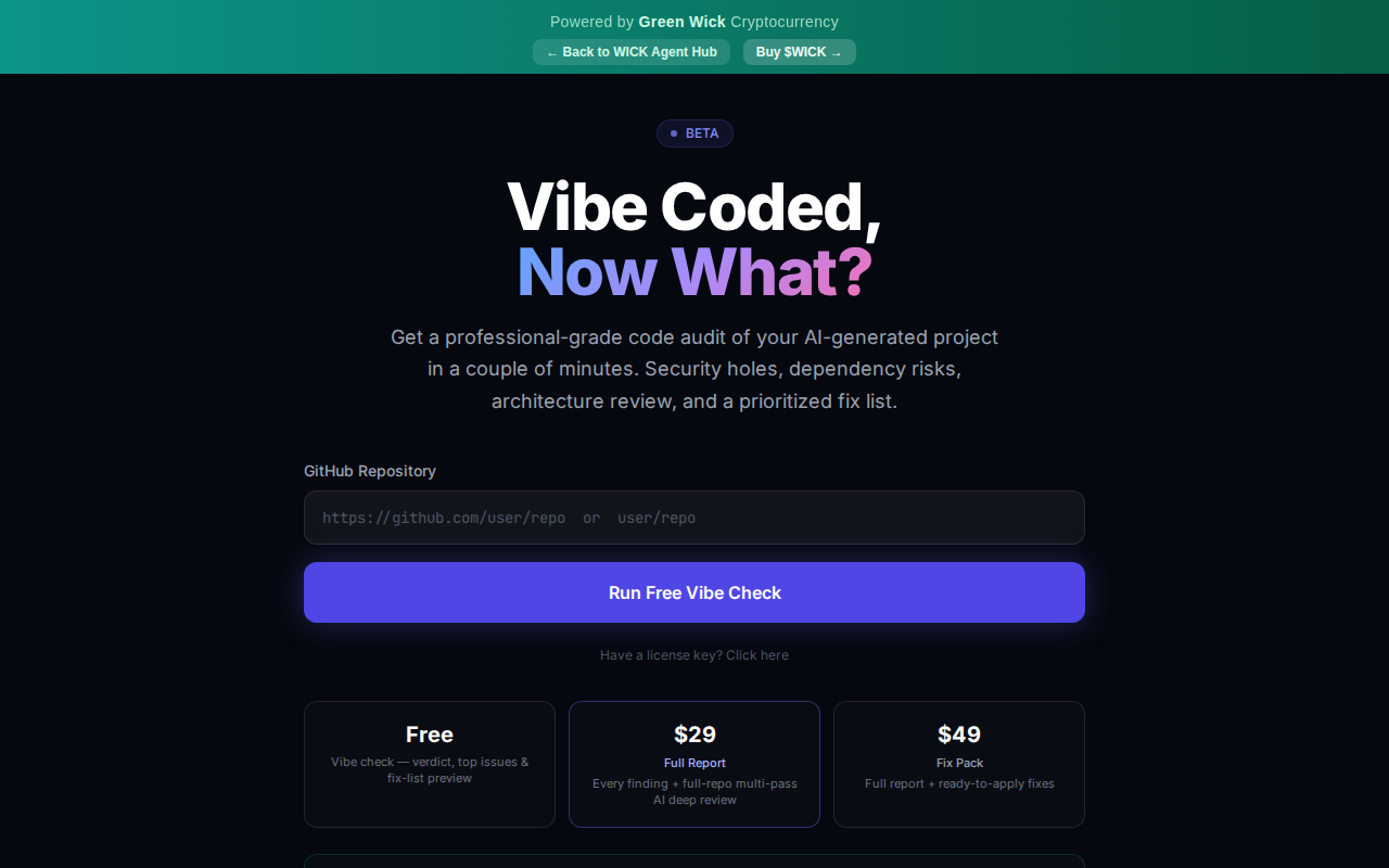 Vibe Audit